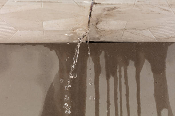 Professional Water Damage Repair technician working in Plymouth, OH